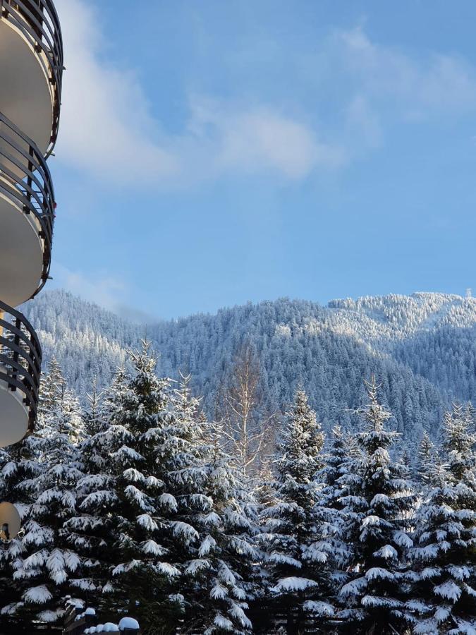 Apartament Ozon Brassópojána Kültér fotó
